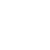 english for you white